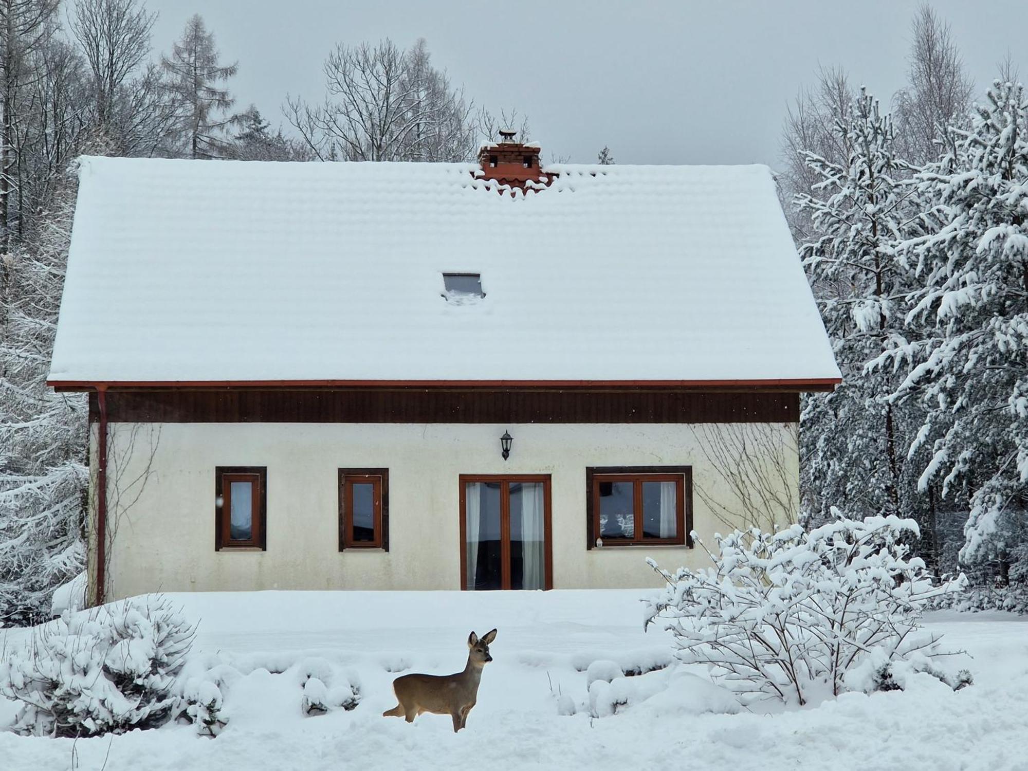 Dom Na Pstraznicy Villa Kudowa Zdroj Exterior photo