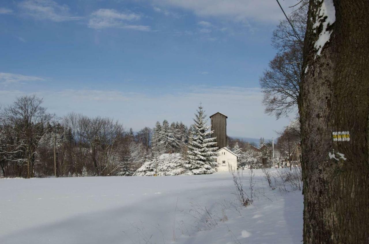 Dom Na Pstraznicy Villa Kudowa Zdroj Exterior photo